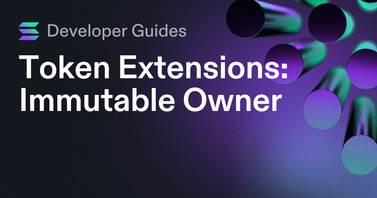 How to use the Immutable Owner extension