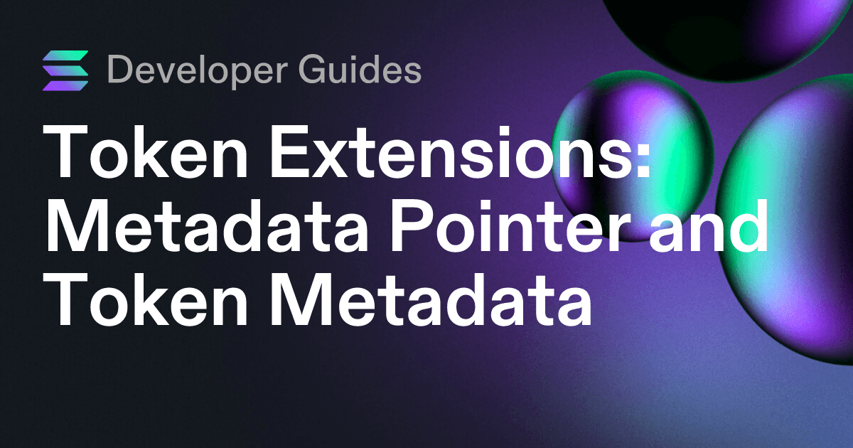 How to use the Metadata Pointer extension